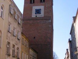 „Wiosna w Bukowym Lesie”